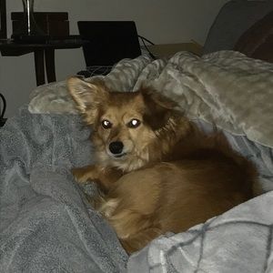 Meet your Posher, Rachelle